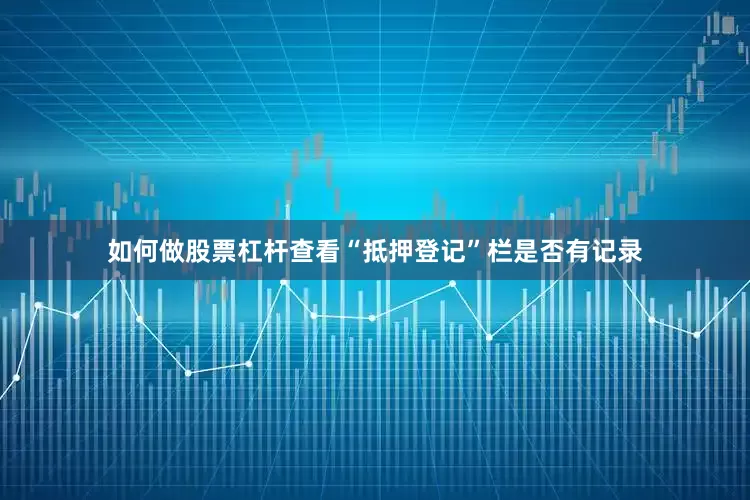 如何做股票杠杆查看“抵押登记”栏是否有记录