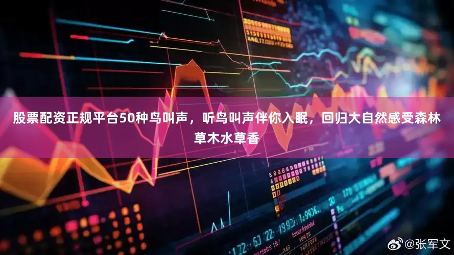 股票配资正规平台50种鸟叫声，听鸟叫声伴你入眠，回归大自然感受森林草木水草香